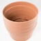 4 Tan Japanese Heavy Duty Round Plastic Bonsai, Succulent Pot 8.25"x 8.25"x 4.5"